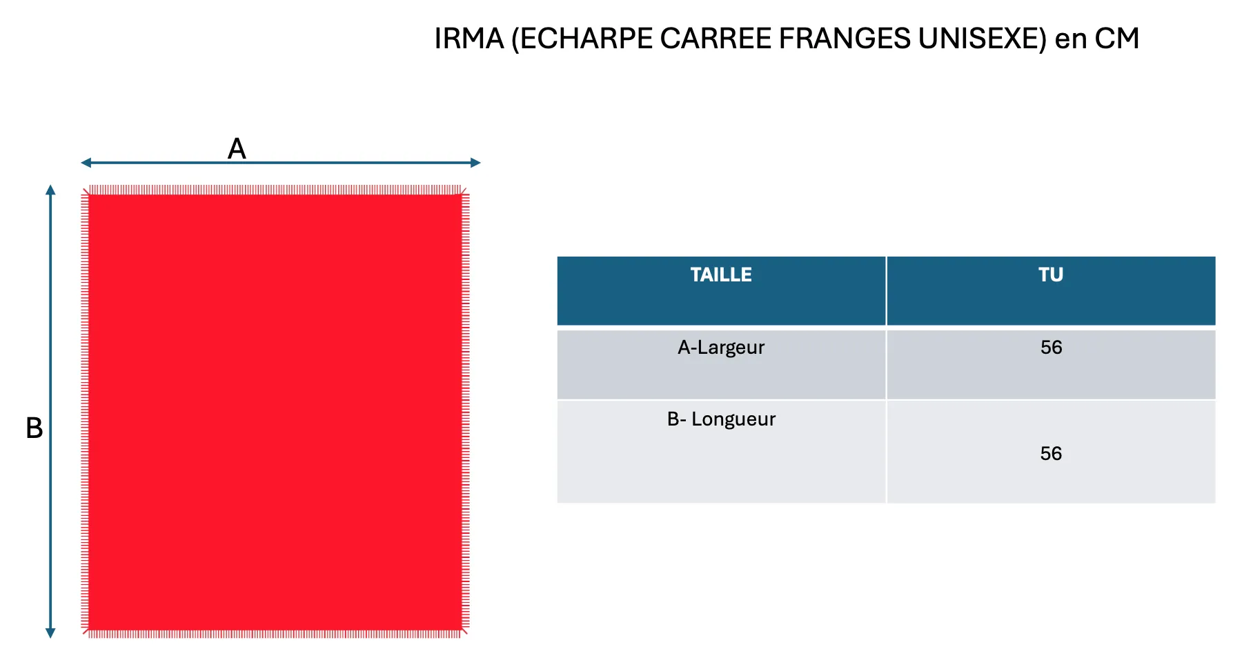 Echarpe Carree Franges Irma - Noir - 100% Cachemire Oeko-Tex - Mixte